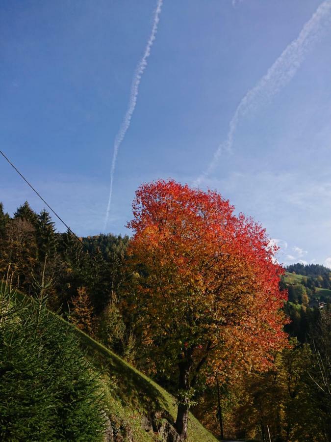 Aschau Im Zillertal Apart Pfister מראה חיצוני תמונה